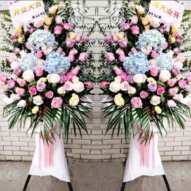 红红火火（单）    绣球，玫瑰，散尾叶，三 脚架花篮（3065）