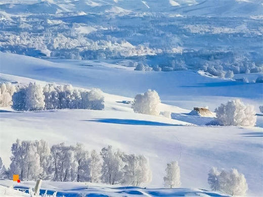 【乌兰布统2日】越野穿越雪原の塞北雪乡-越野驰骋-马踏飞雪-冰雪童话-摄影深度游 商品图8