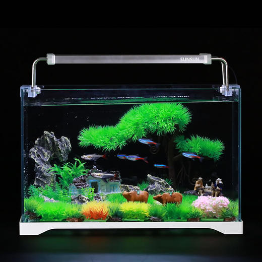 森森超白玻璃鱼缸热带水族箱长方形生态水草缸中型客厅小型金鱼缸 商品图3