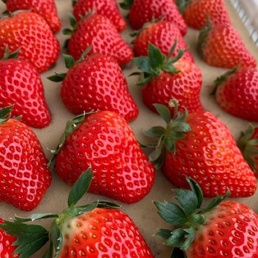 丹东东港玖玖草莓（产地直发） 商品图2