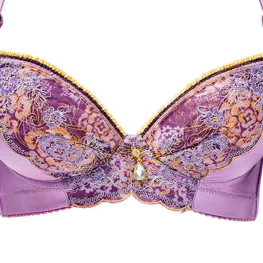 皇家丽美内衣女聚拢小胸显大调整型文胸W061-3「超低价秒杀不退不换！介意慎拍！」 商品图1