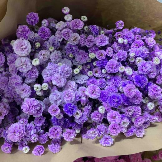 彩色满天星 各色都有，点击进入查看 商品图4