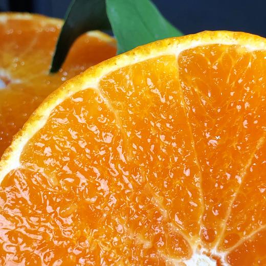 【仅限江浙沪包邮】象山红美人柑橘（核心产区直发、27日快递停发） 商品图1