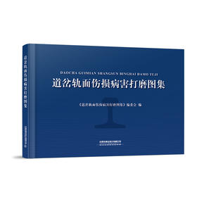 9787113268657道岔轨面伤损病害打磨图集