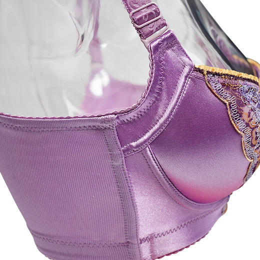 皇家丽美内衣女聚拢小胸显大调整型文胸W061-3「超低价秒杀不退不换！介意慎拍！」 商品图3