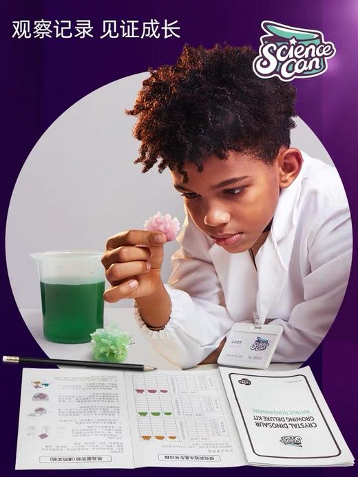 儿童科学实验套装学生趣味stem玩具种植生长水晶晶体培养手工制作 商品图3