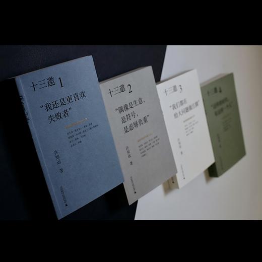 预售 十三邀 我们时代的头脑与心灵 全四辑 许知远 著 文学散文随笔书籍 商品图9