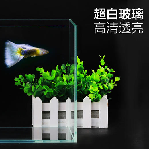 森森超白玻璃鱼缸热带水族箱长方形生态水草缸中型客厅小型金鱼缸 商品图2