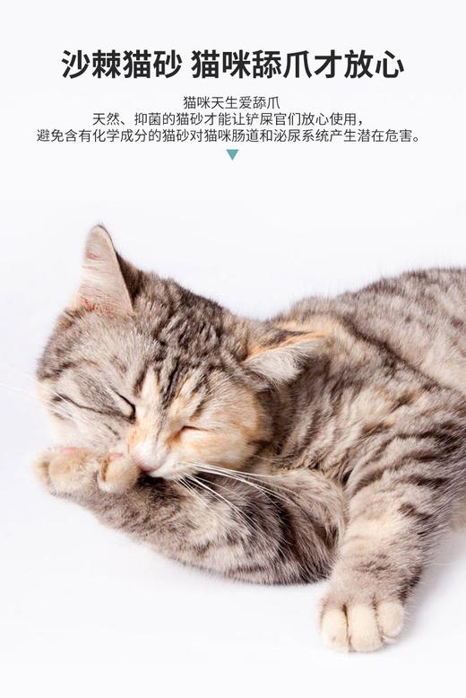 【幸运土猫】优狐沙棘猫砂钠基混合猫砂非偏包邮❗️❗️❗️领养中心自用推荐 商品图2