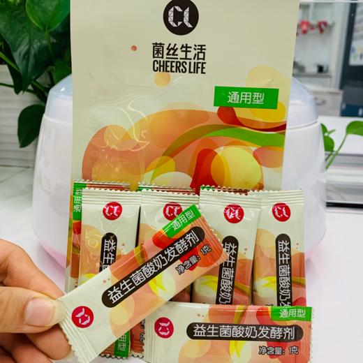 菌丝生活通用型酸奶发酵剂*4包+酸奶机（304不锈钢内胆） 商品图3