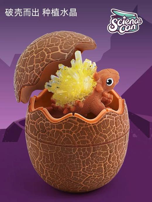 儿童科学实验套装学生趣味stem玩具种植生长水晶晶体培养手工制作 商品图4