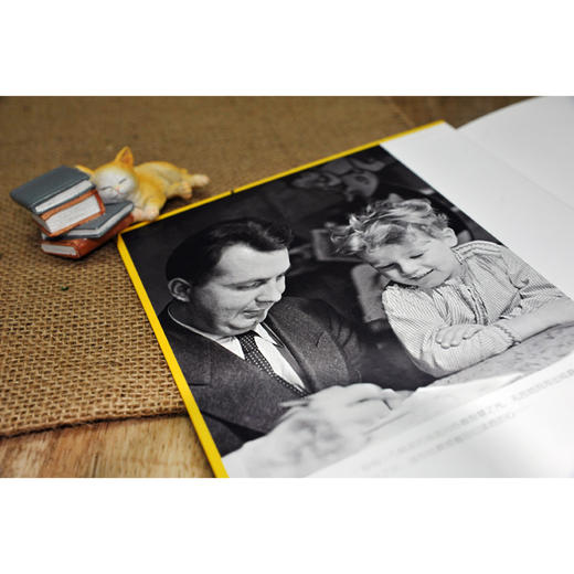 6-12岁 父与子全集(完整典藏版)(精) 商品图3