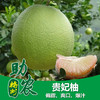 【香甜爽口】梅州贵妃柚 商品缩略图0