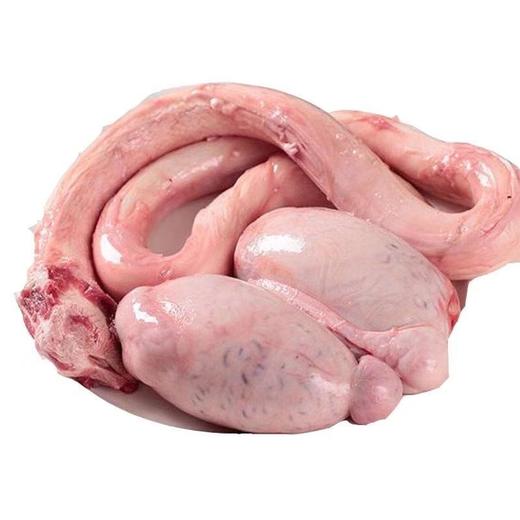 黄牛牛鞭宝1副（2.5-3斤） 商品图4