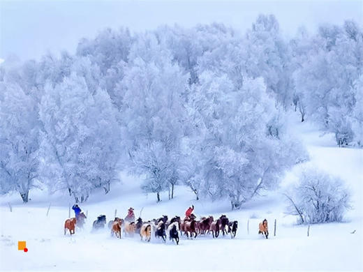 元旦3日【乌兰布统•多伦湖冬捕】魔界暖水河+透风沟+蛤蟆坝+白家窝铺+鹰窝沟+影视基地 商品图1