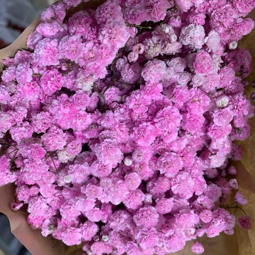 彩色满天星 各色都有，点击进入查看 商品图3