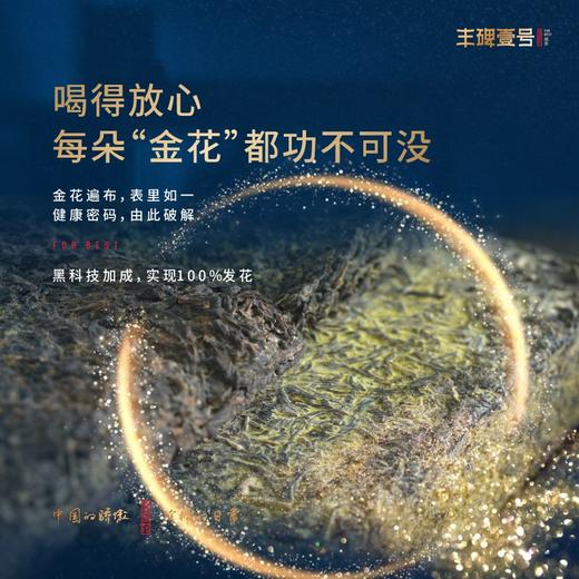 黑茶 | 臻溪 丰碑壹号 2020年 全金花黑茶 1kg 商品图4