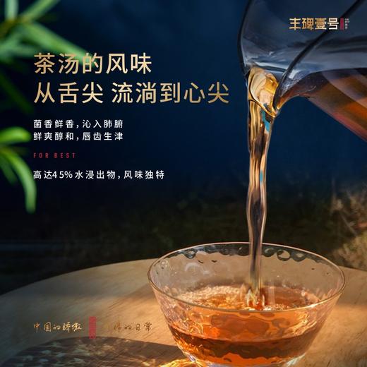 黑茶 | 臻溪 丰碑壹号 2020年 全金花黑茶 1kg 商品图2