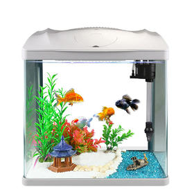 森森生态桌面金鱼缸鱼缸水族箱玻璃迷你小型客厅懒人免换水家用缸
