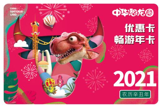 常州中华恐龙园老人年卡畅游