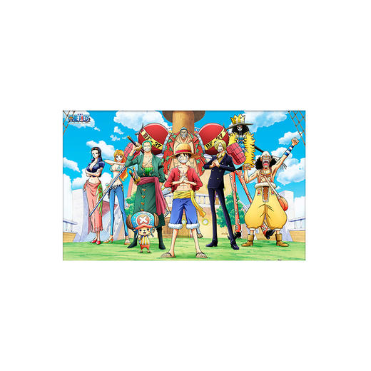 3D-JP ONE PIECE 伙伴们 商品图0