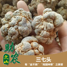 云南干三七头1斤