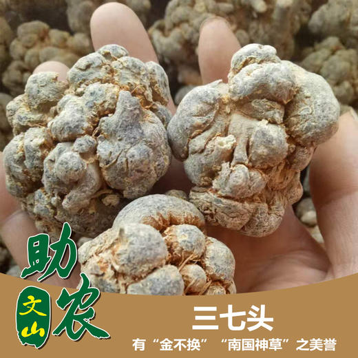 云南干三七头1斤 商品图0
