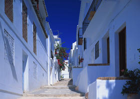 ric定金预售商品