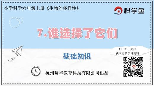 6.4.7《谁选择了它们》基础课程 商品图0
