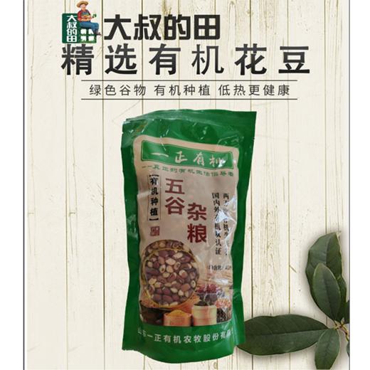 有机花豆 商品图0