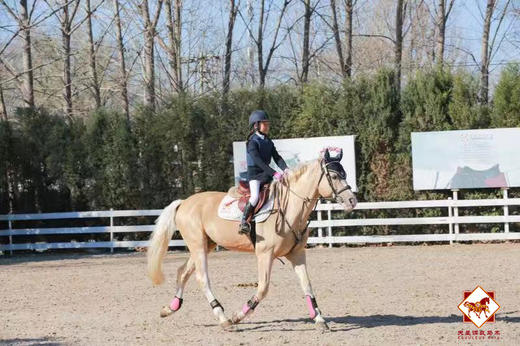 6岁及以上 非会员周末体验 线下课 商品图0