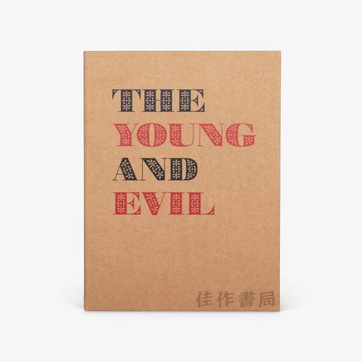 The Young and Evil: Queer Modernism in New York 纽约酷儿现代主义  商品图0