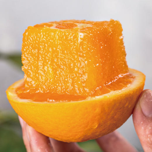 【12月8日提货】正宗赣南脐橙整箱 鲜嫩多汁 产地直采约10斤装 商品图2