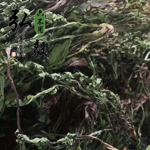 【弘毅六不用生态农场】六不用 蒲公英干 婆婆丁干 100克/份 商品图0