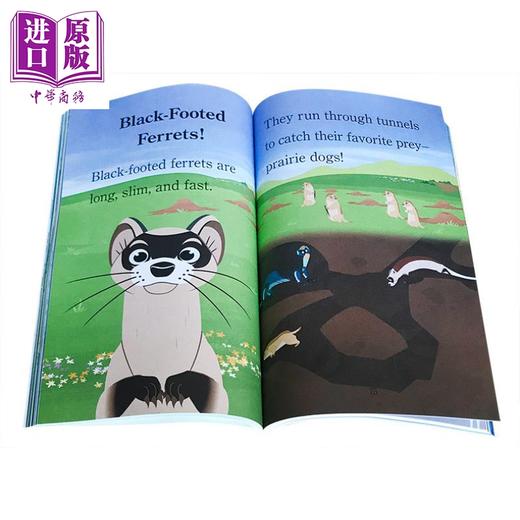 【中商原版】Step Into Reading2：5 Wild Creature Adventures 阅读进阶2级：动物兄弟5个冒险故事 儿童科普 平装 英文原版 3-6岁 商品图4