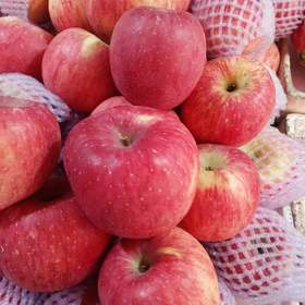 陕西红富士 苹果