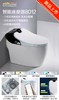 帝富龙 智能坐便器 8012 带水箱 商品缩略图0