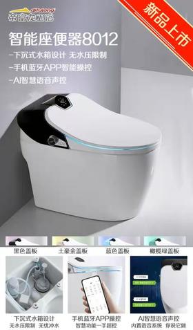帝富龙 智能坐便器 8012 带水箱