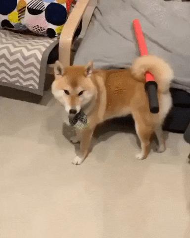 静子镜子 商品图0