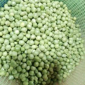 荷兰豆仁 （豌豆）