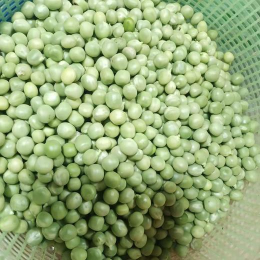 荷兰豆仁 （豌豆） 商品图0