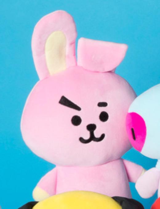 韩国 可爱Line Friends BT21 COOKY迷你扁平身体垫JPY带授权招加盟代理 商品图0