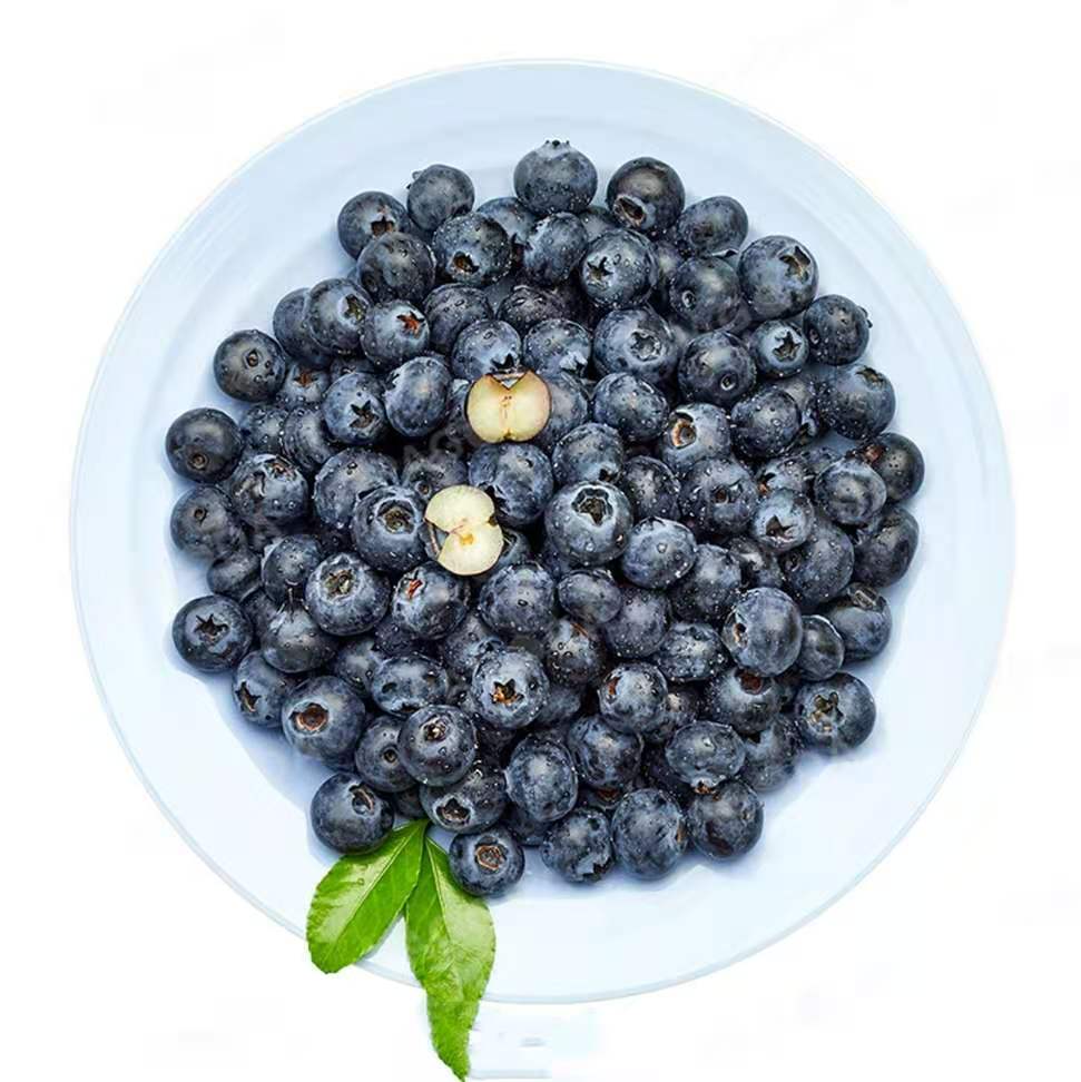 预定9.9元1盒精品国产15+蓝莓（125g/盒），2.26提货