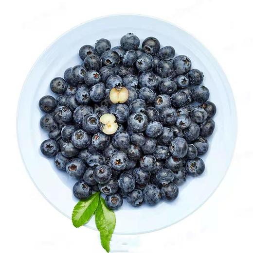预定9.9元1盒精品国产15+蓝莓（125g/盒），2.26提货 商品图0