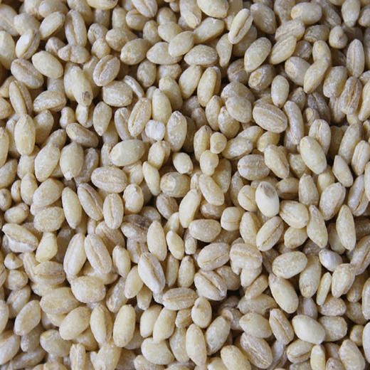 有机麦仁 商品图3