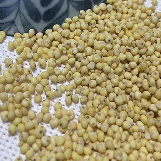 有机黍米 商品图1