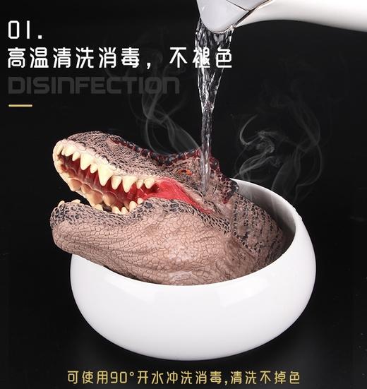 迪杰熊儿童恐龙玩具软胶手偶仿真模型 商品图1