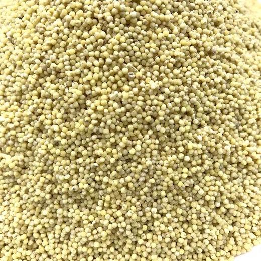 有机小米 商品图3