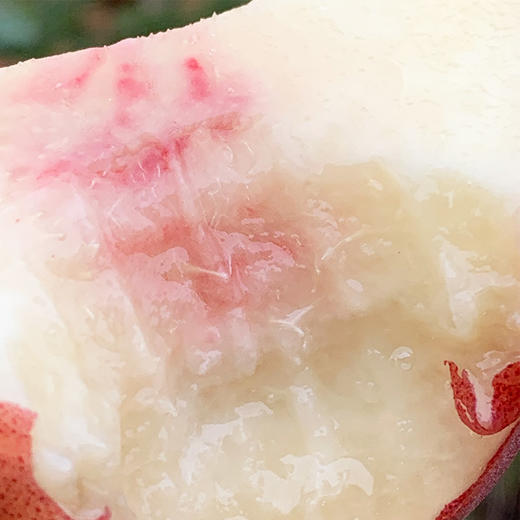 澳洲黄肉水蜜桃  |  🌹今天到的澳洲水蜜桃大果子，软硬皆宜，硬果脆甜有韧劲，软了之后吃起来口感绝佳，蜜糯柔，水分足，细腻到入口即化，悠悠回味～🍑😋😋♥️ 商品图8
