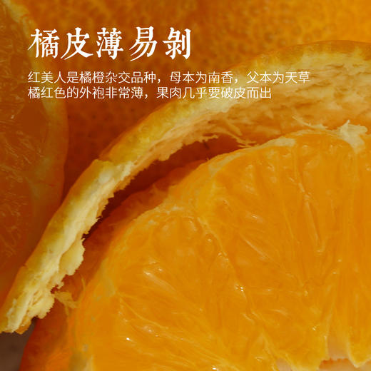 若谷象山正宗红美人橙子橘子当季新鲜水果皮薄无核爱媛蜜桔礼盒装 商品图5